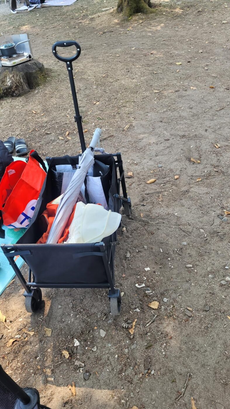 Customer photo of a Hikenture wagon loaded for an outdoor day