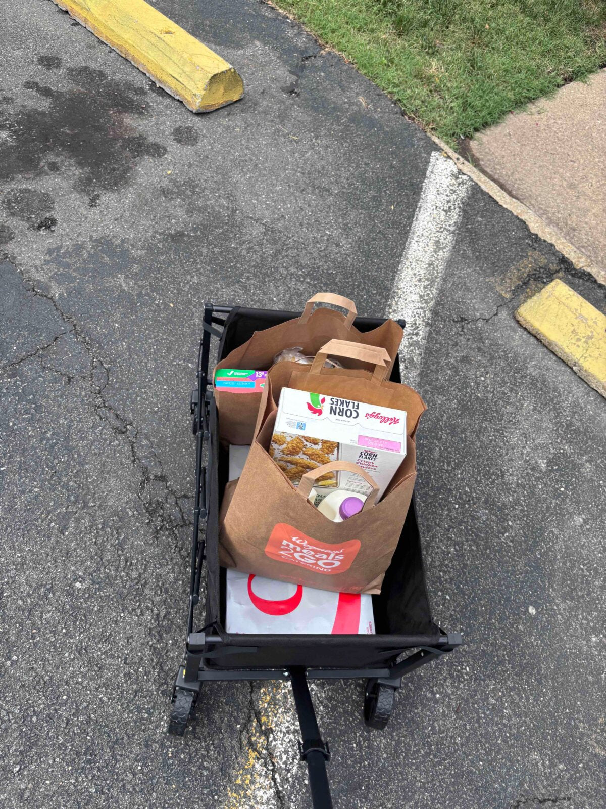 Customer-submitted photo of a Hikenture folding wagon in use