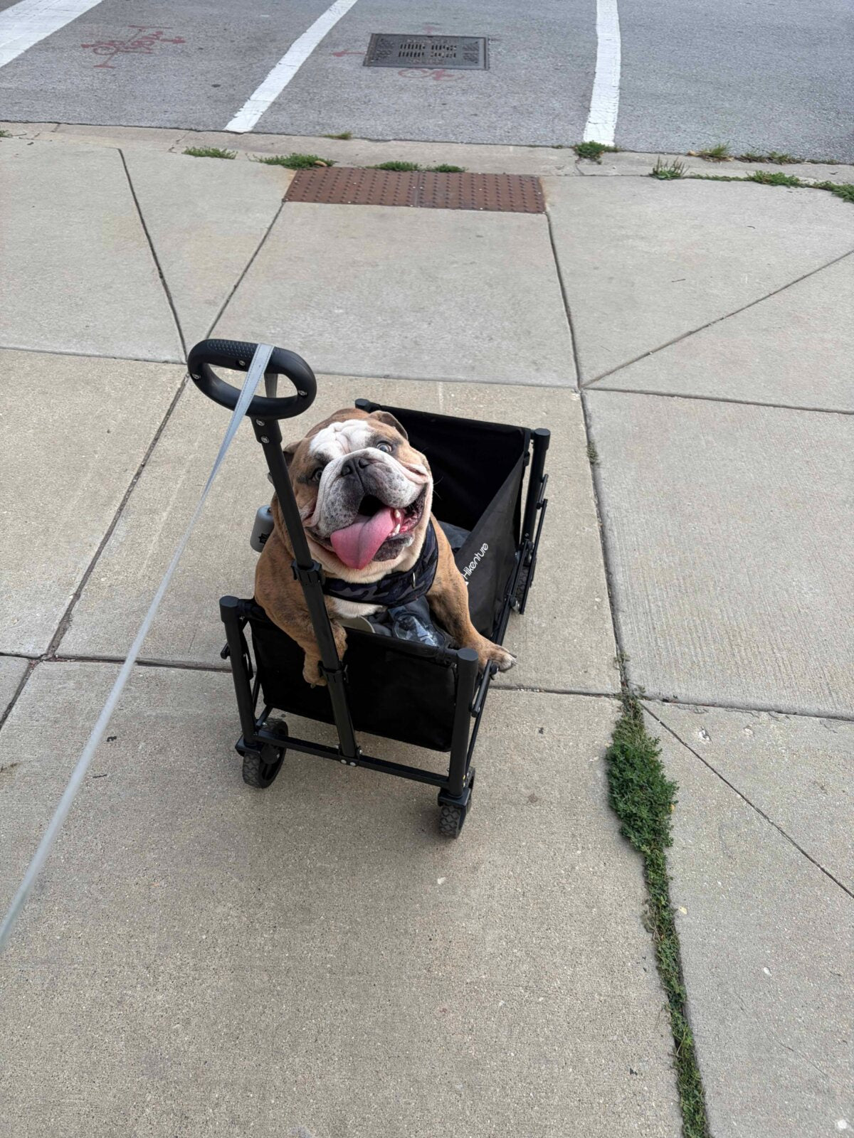 Customer-submitted photo of a Hikenture folding wagon in use
